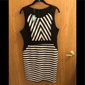 NWT Maurice’s Dress 13/14